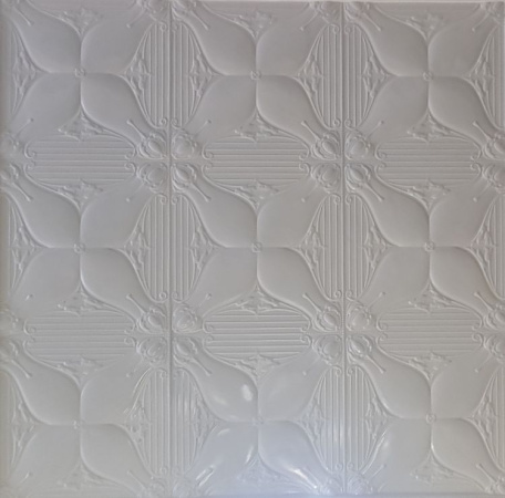 apm_carina_ceiling_opt