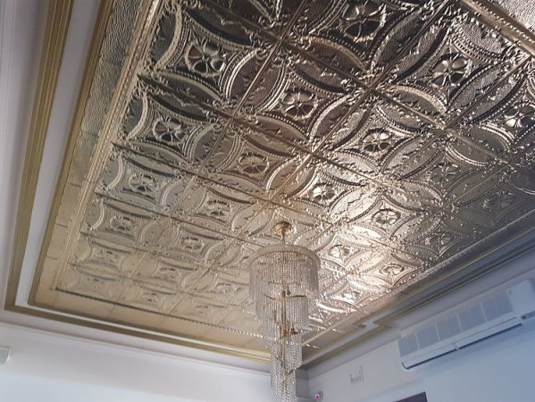 apm fusion ceiling raw opt