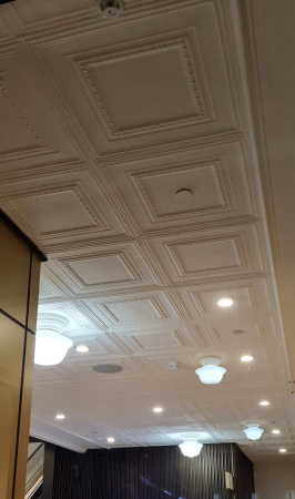 apm_petersburg_ceiling_district_rsz