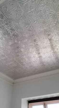 apm st george ceiling