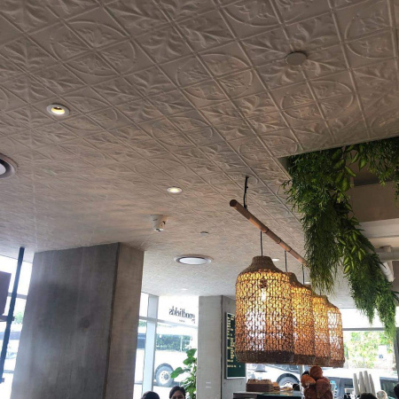 apm sydney acanthus ceiling