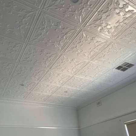 apm wales ceiing white 4