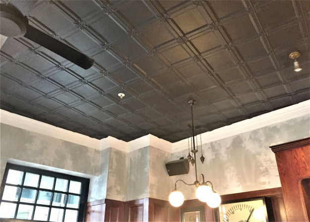 apm_watson_bay_black_ceiling_2_rsz