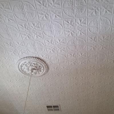 Acanthus Design White Ceiling 