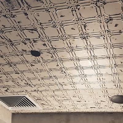 Apm Laidley Aged Look Ceiling Opt