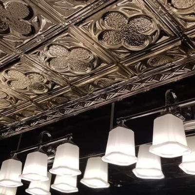 Apm St Catherine Ceiling 5