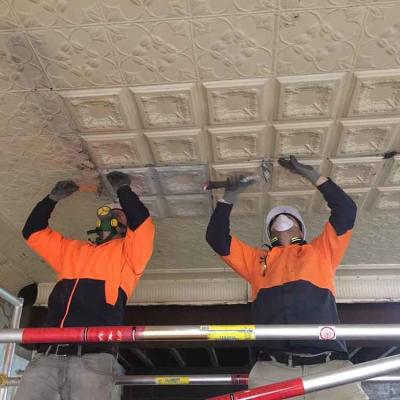 Apm Carlton House Opt1